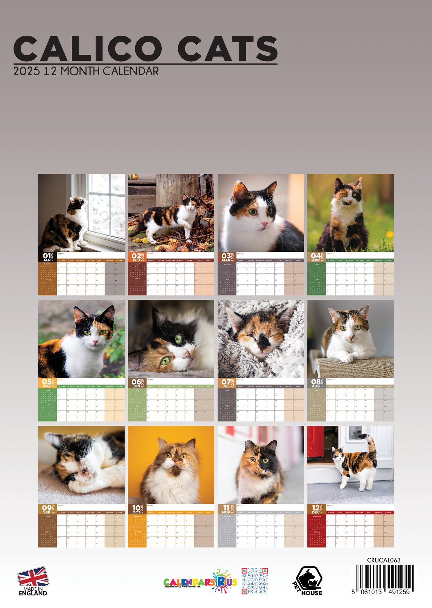 Calico Cats Calendar 2025