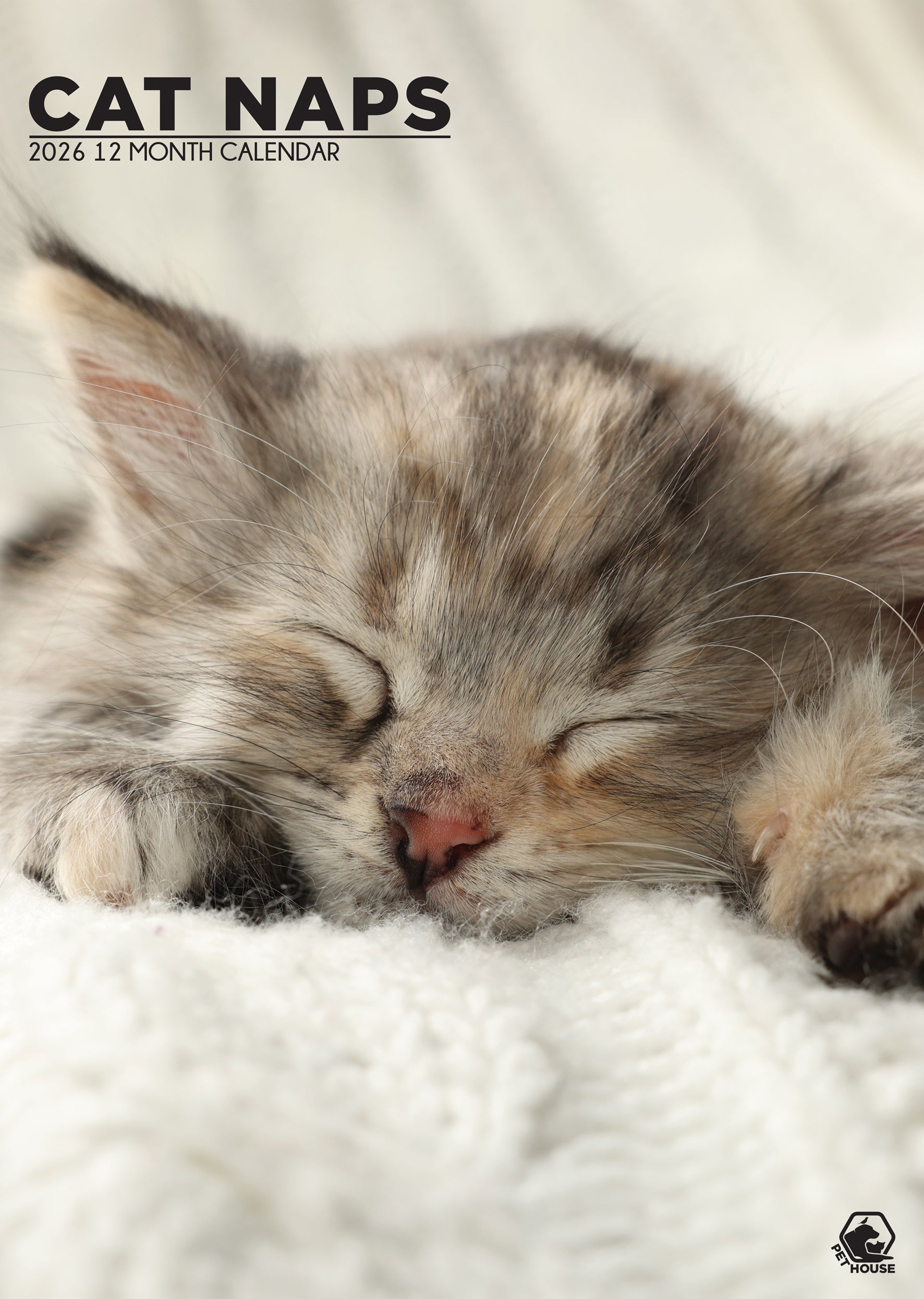Goohks Naps Cat Naps - A3 Calendar 2026 – CalendarsRus