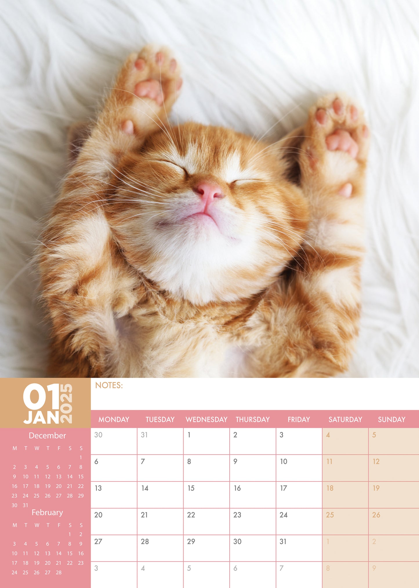 Cats Naps Calendar 2025