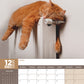 Cats Naps Calendar 2025