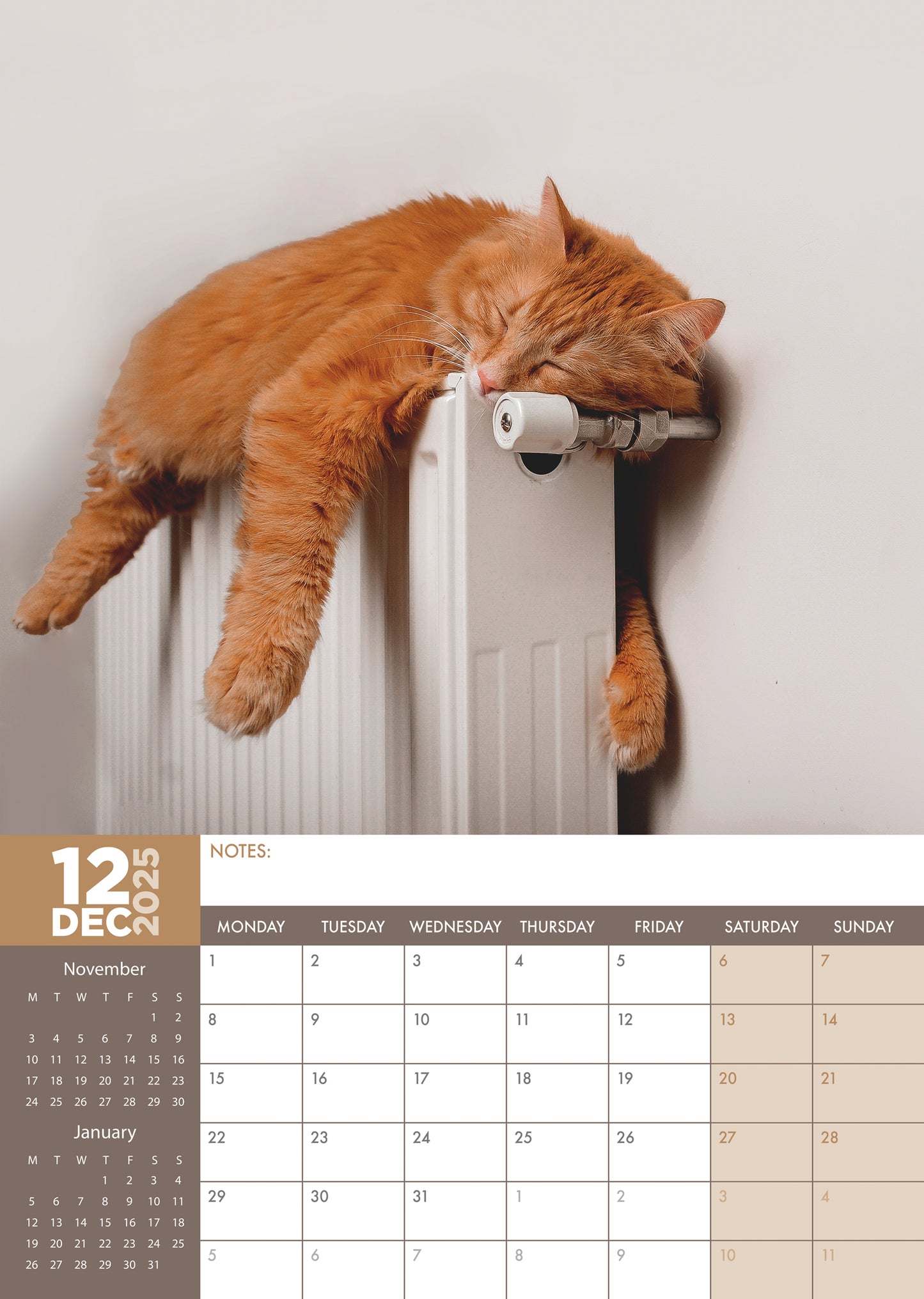 Cats Naps Calendar 2025