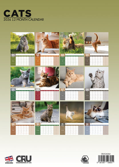 Cats - A3 Calendar 2026
