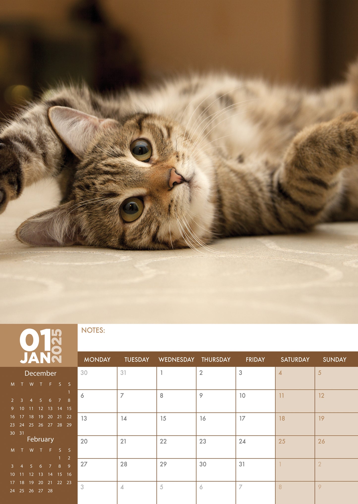 Cats Calendar 2025