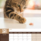 Cats Calendar 2025