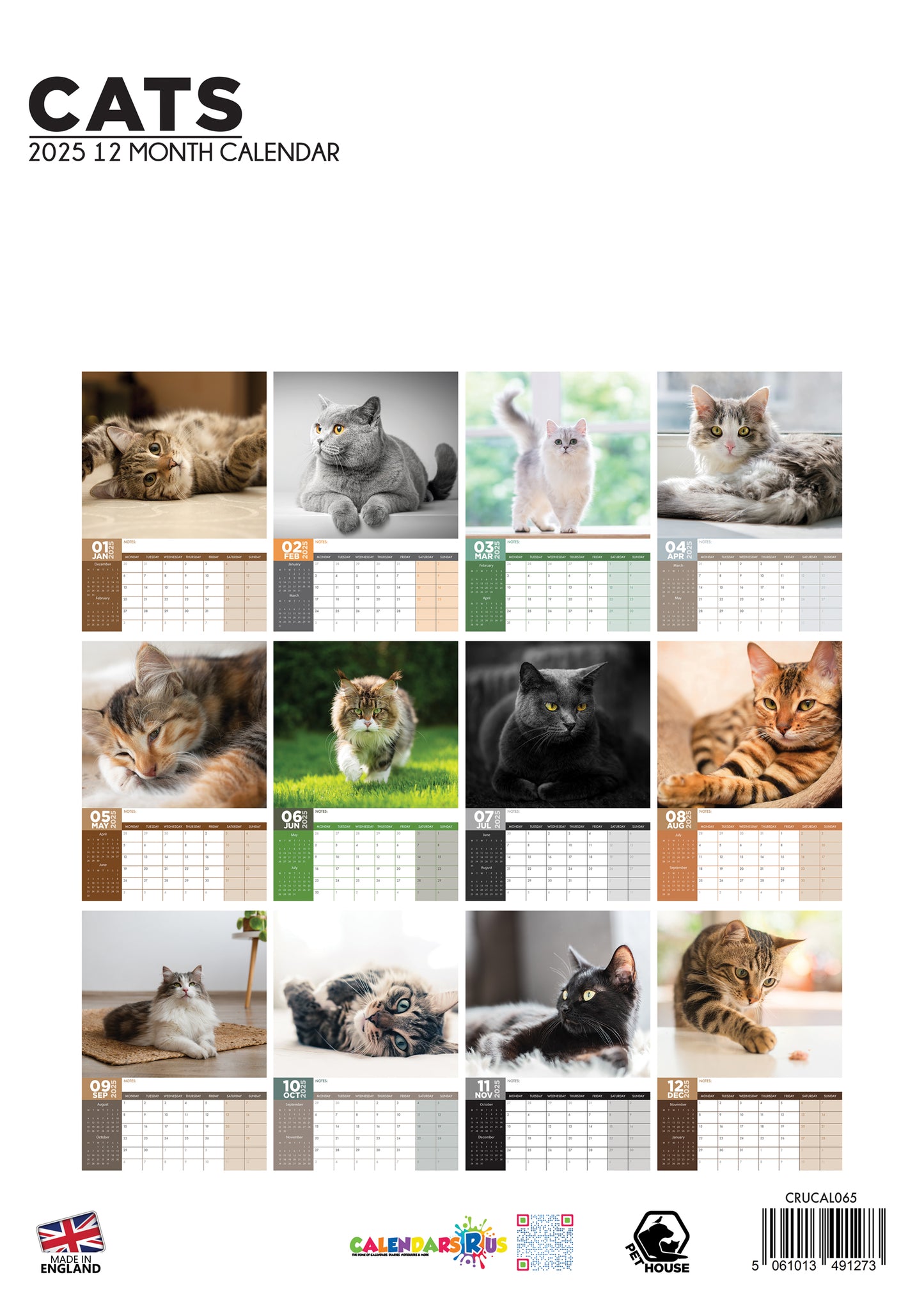 Cats Calendar 2025