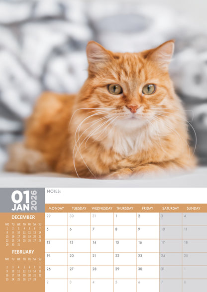 Ginger Cats - A3 Calendar 2026
