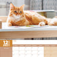 Ginger Cats Calendar 2025