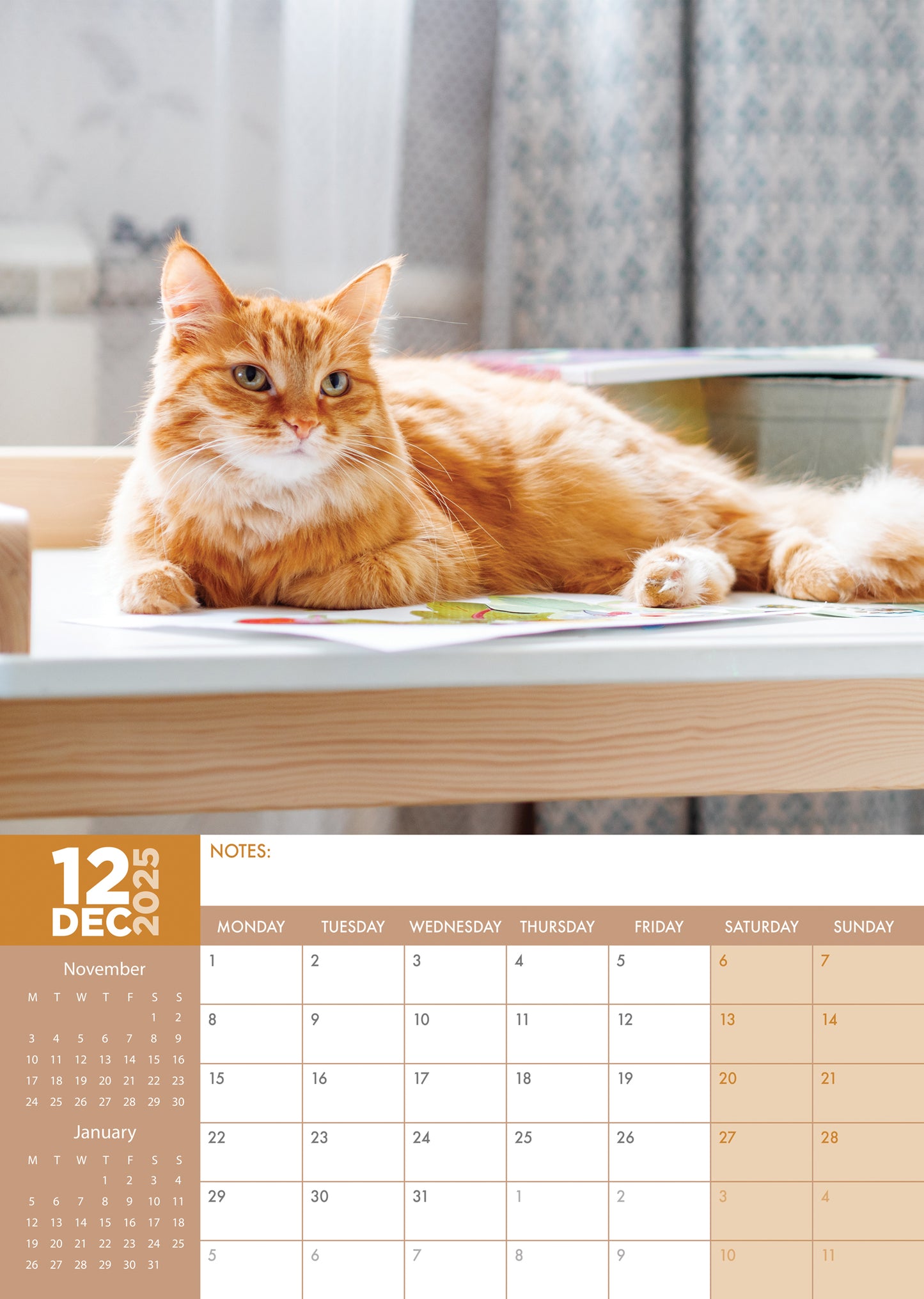 Ginger Cats Calendar 2025