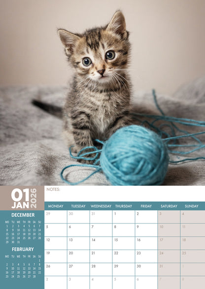 Kittens - A3 Calendar 2026