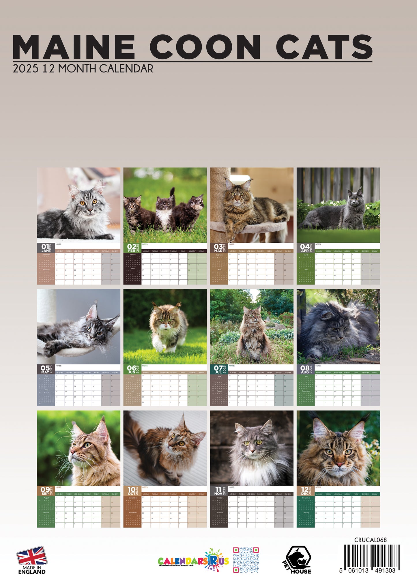 Maine Coon Cats Calendar 2024