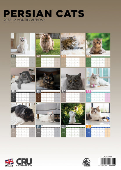 Persian Cats - A3 Calendar 2026