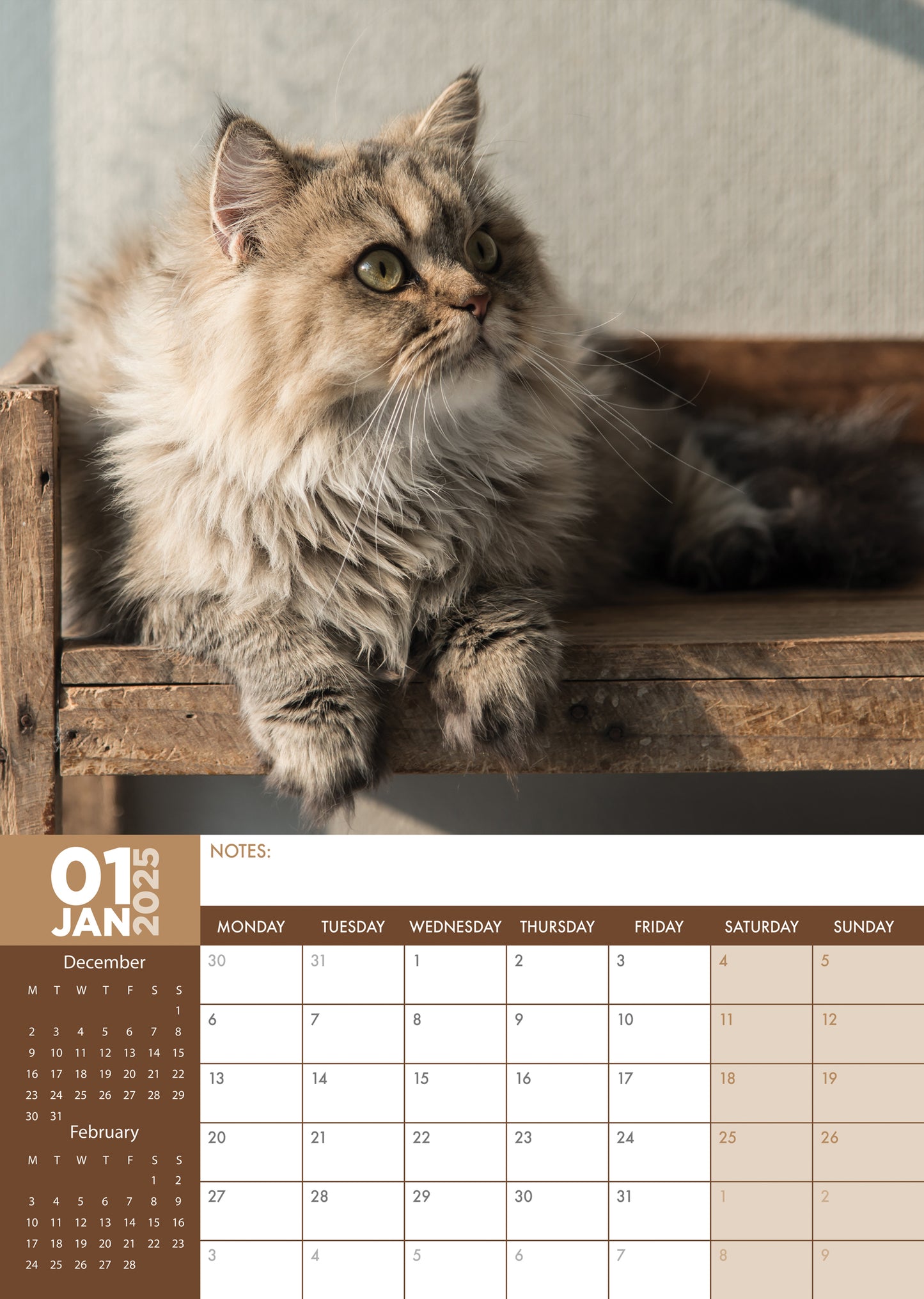 Persian Cats Calendar 2025