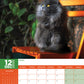 Persian Cats Calendar 2025