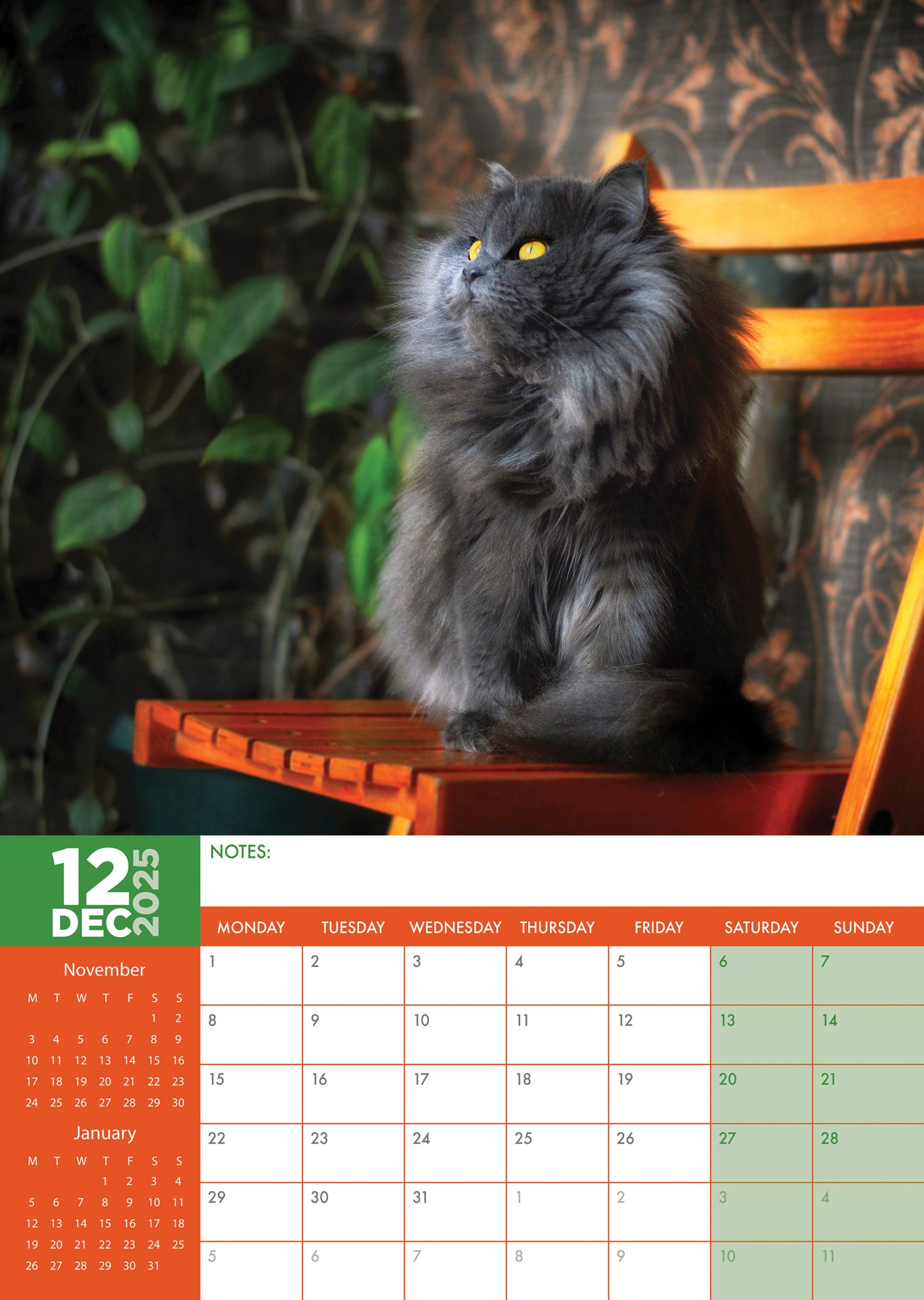 Persian Cats Calendar 2025