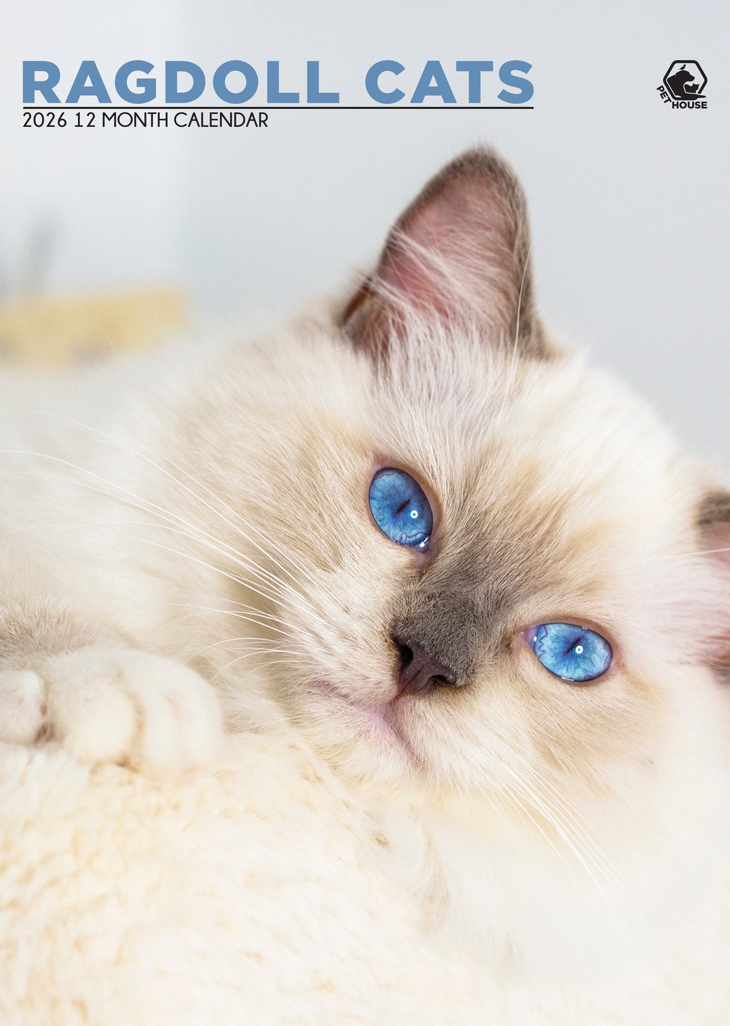 Ragdoll Cats - A3 Wholesale