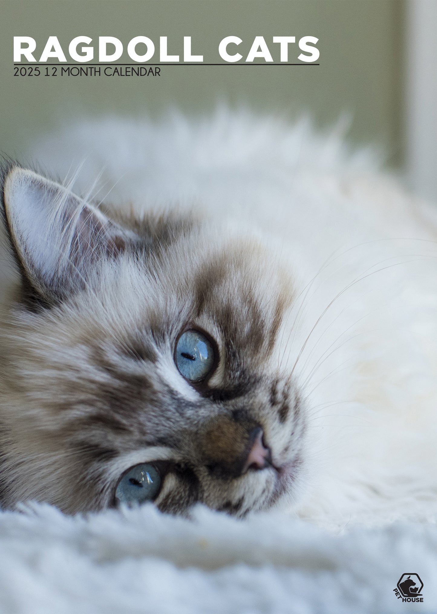 Ragdoll Cats Calendar 2025