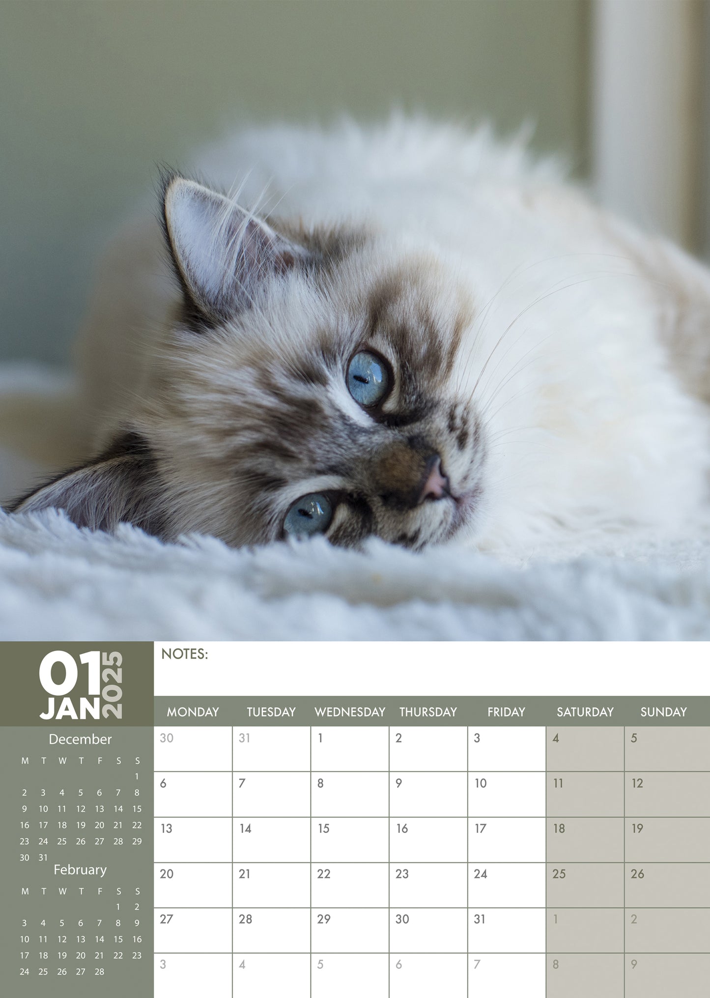 Ragdoll Cats Calendar 2025