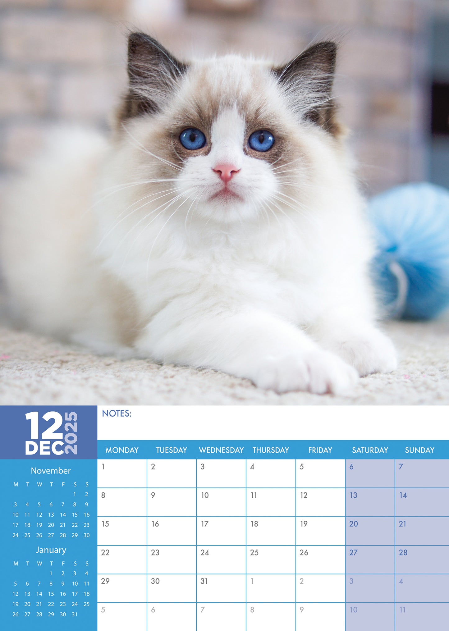 Ragdoll Cats Calendar 2025