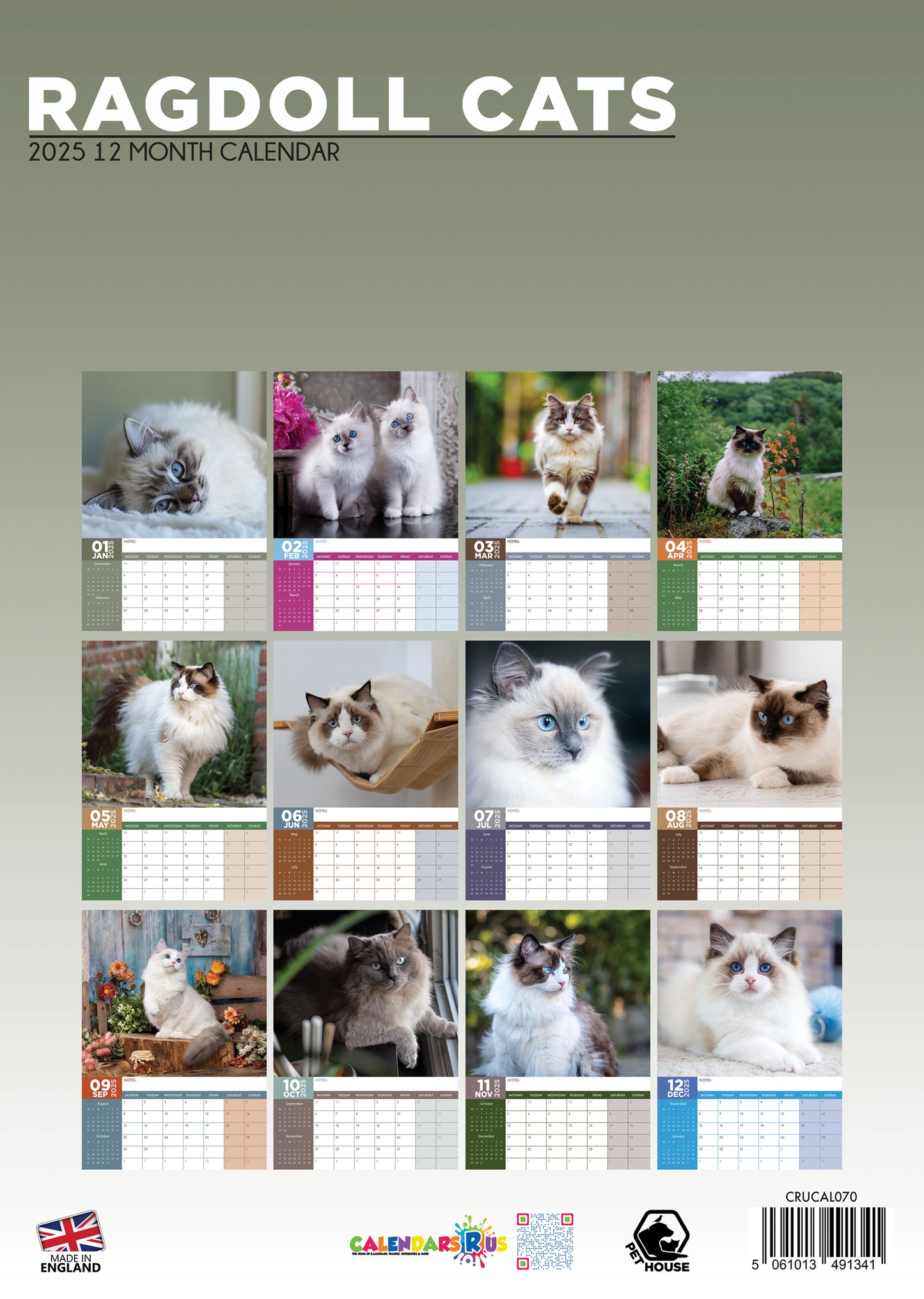 Ragdoll Cats Calendar 2025