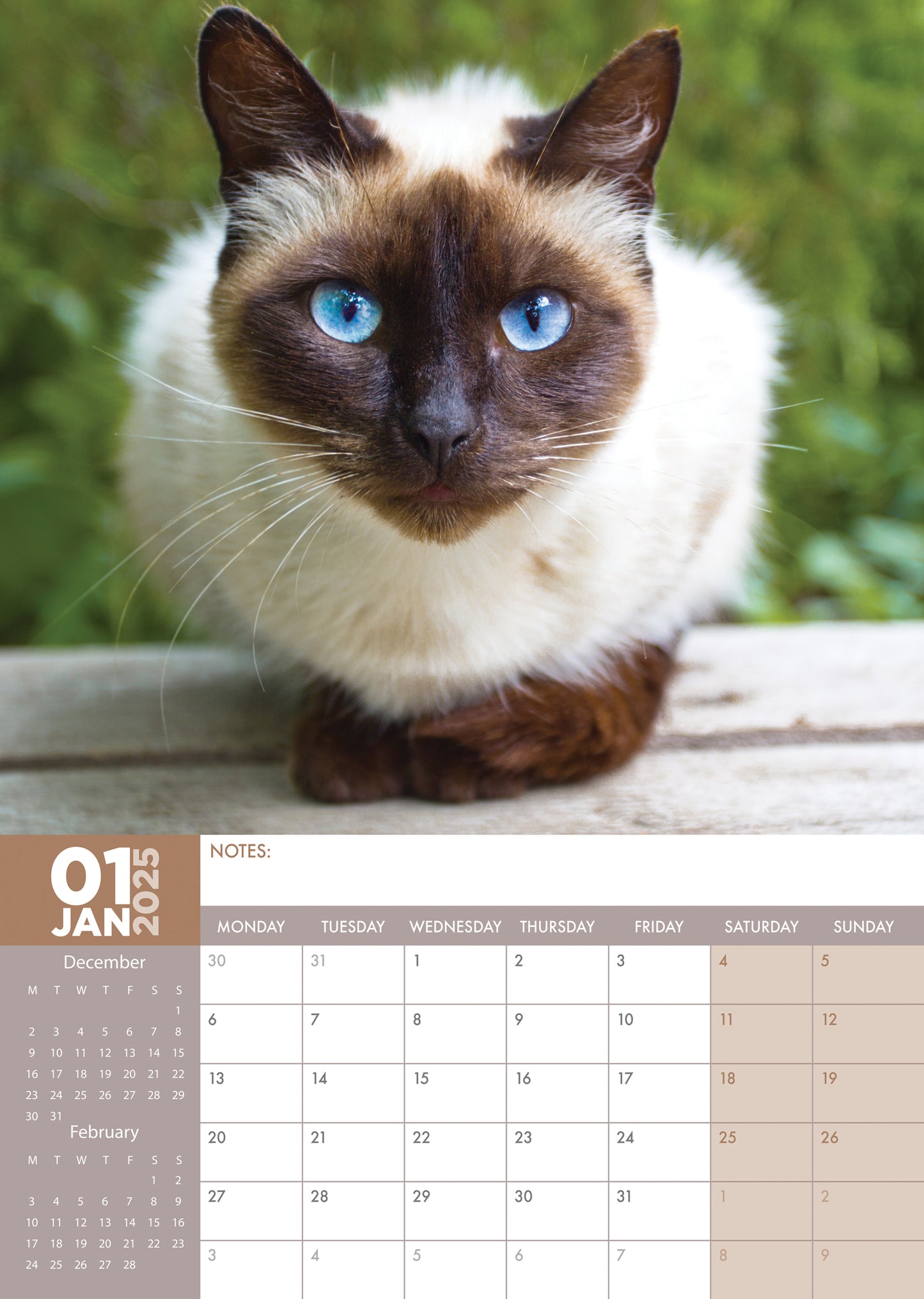 Siamese Cats Calendar 2025