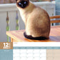 Siamese Cats Calendar 2025