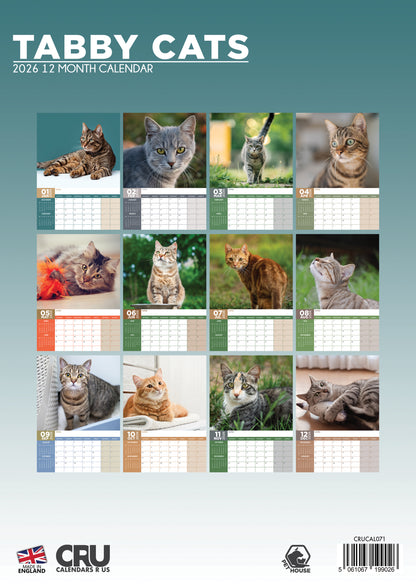 Tabby Cats - A3 Calendar 2026