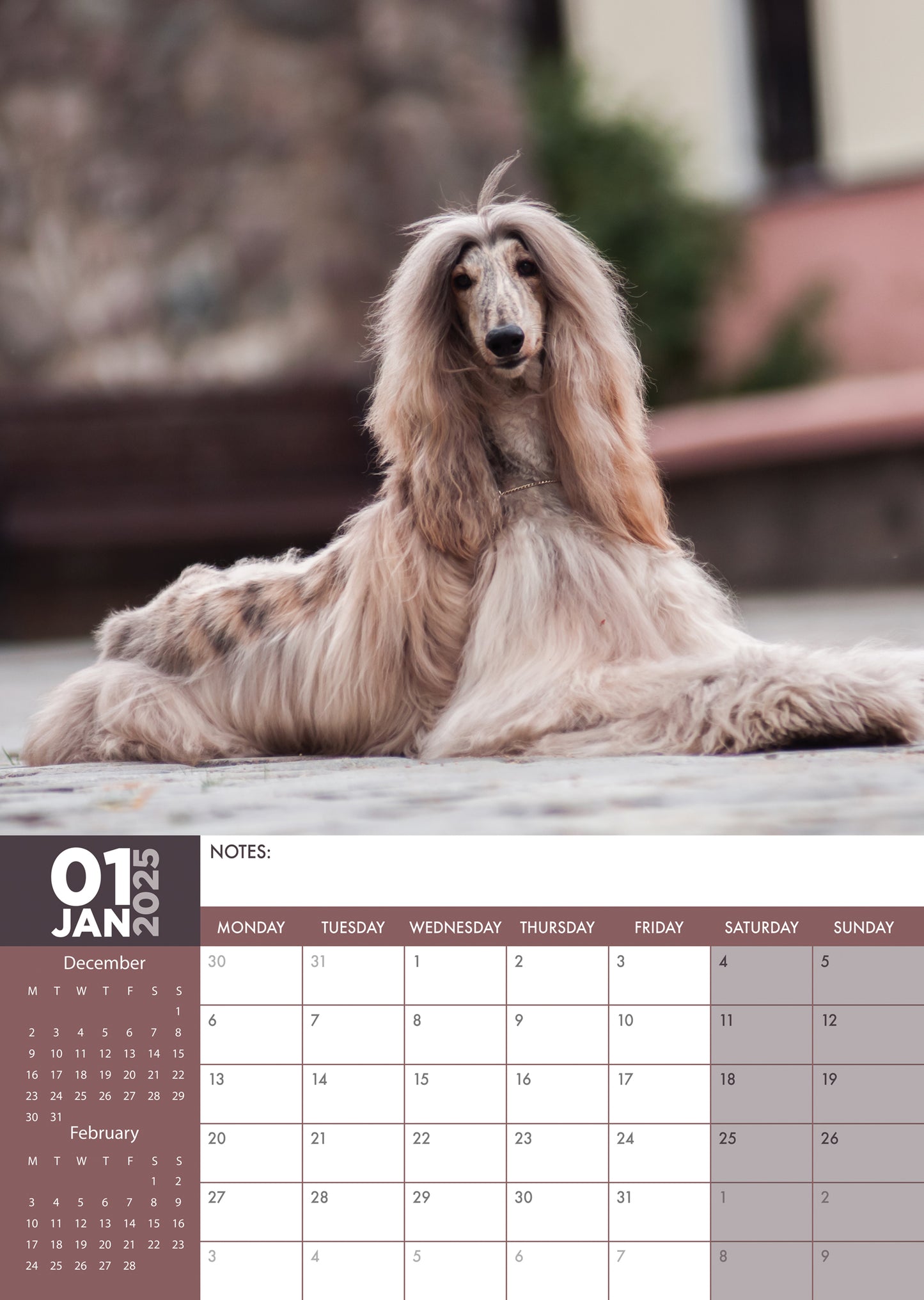 Afghan Hound Calendar 2025