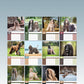 Afghan Hound Calendar 2025