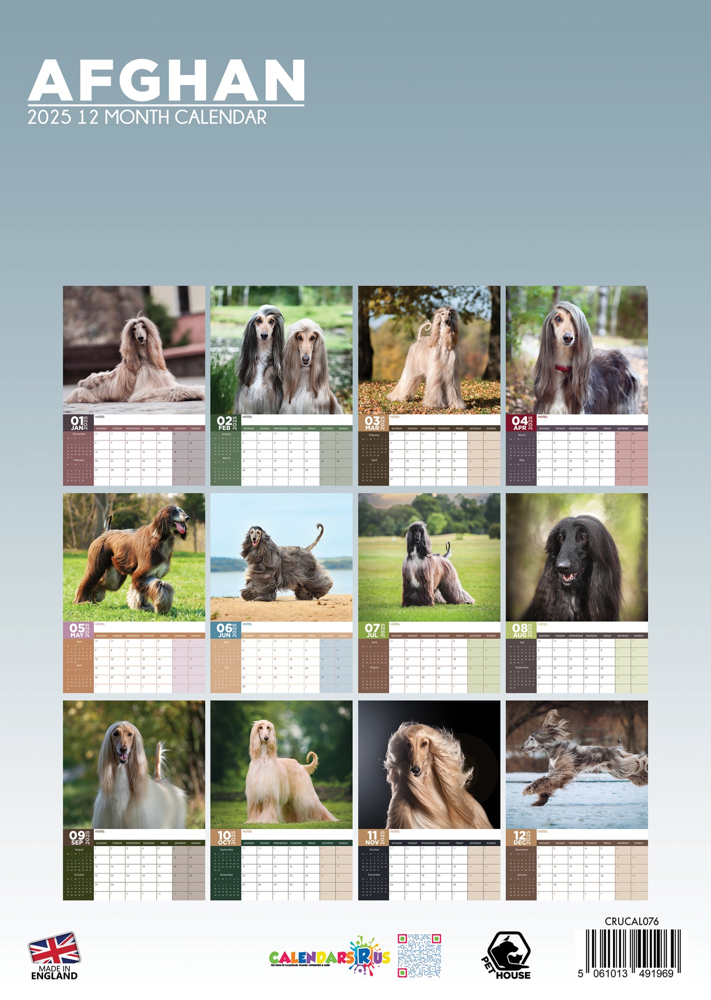 Afghan Hound Calendar 2025