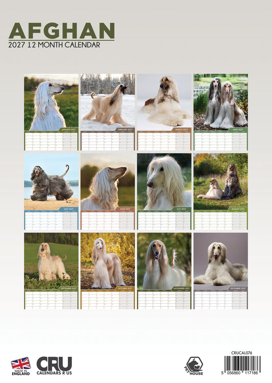 Afghan Hound - A3 Calendar 2027