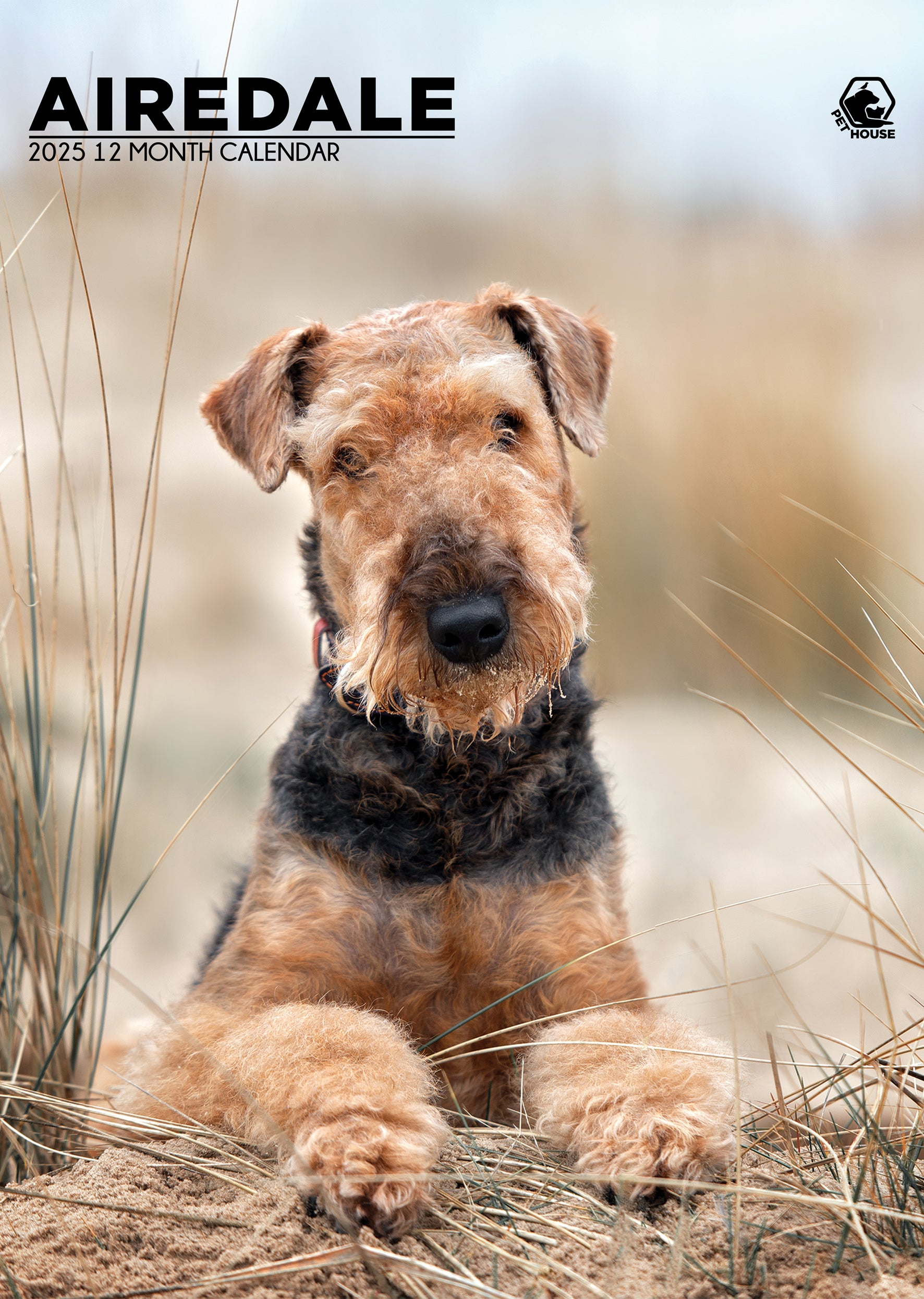 Airedale Terrier Calendar 2025 – CalendarsRus