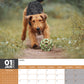 Airedale Terrier Calendar 2025