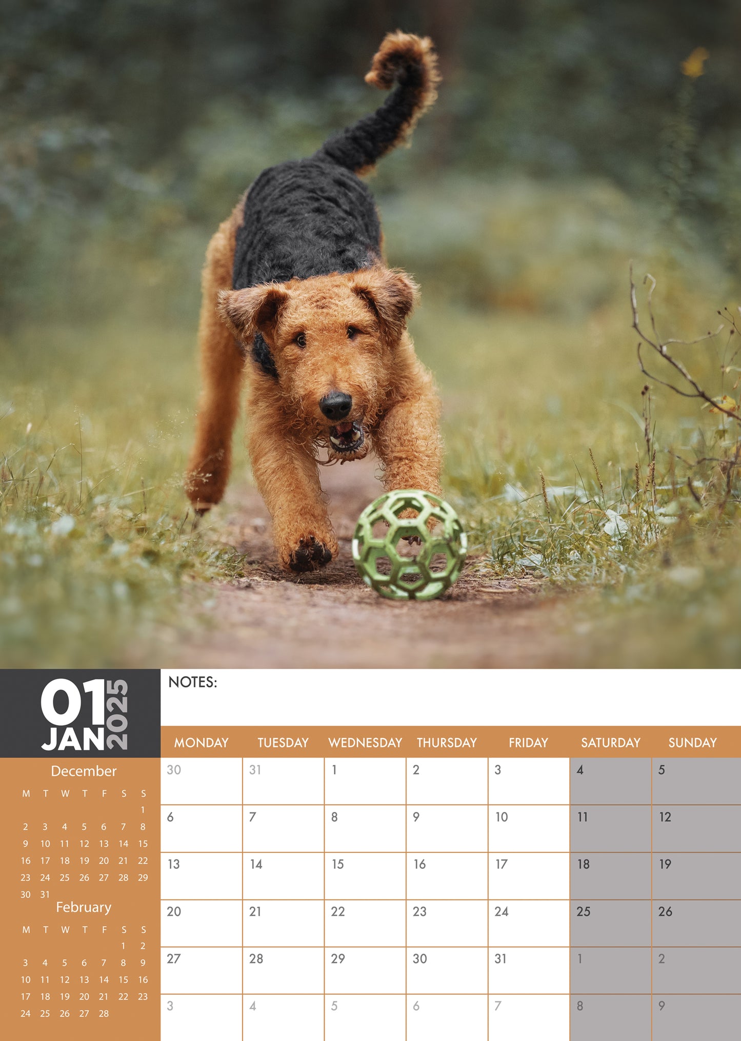 Airedale Terrier Calendar 2025