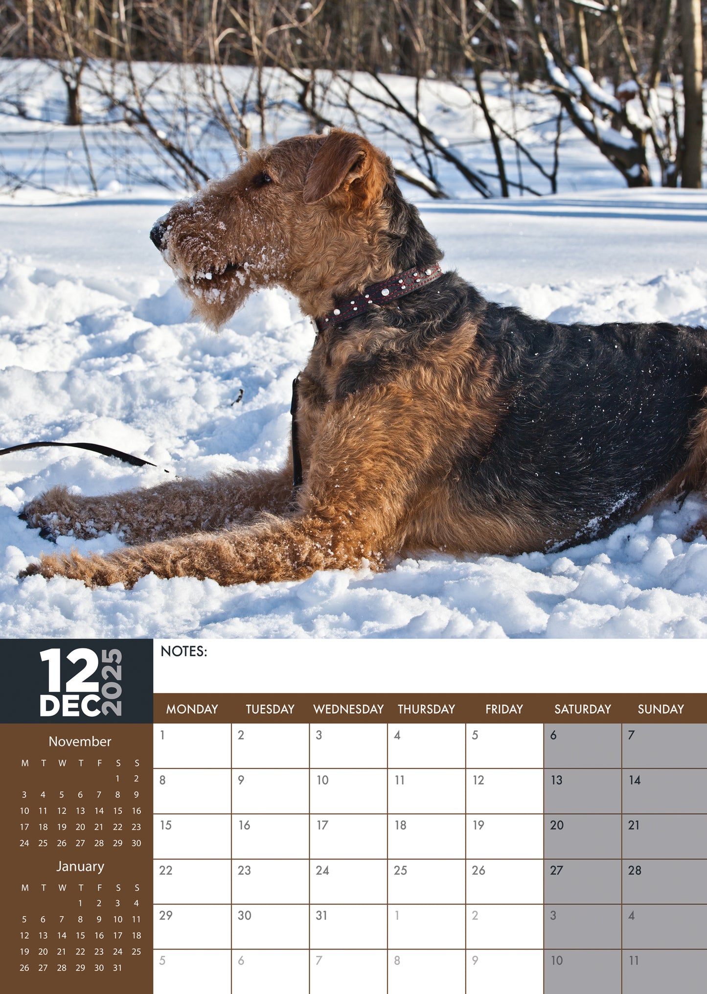 Airedale Terrier Calendar 2025