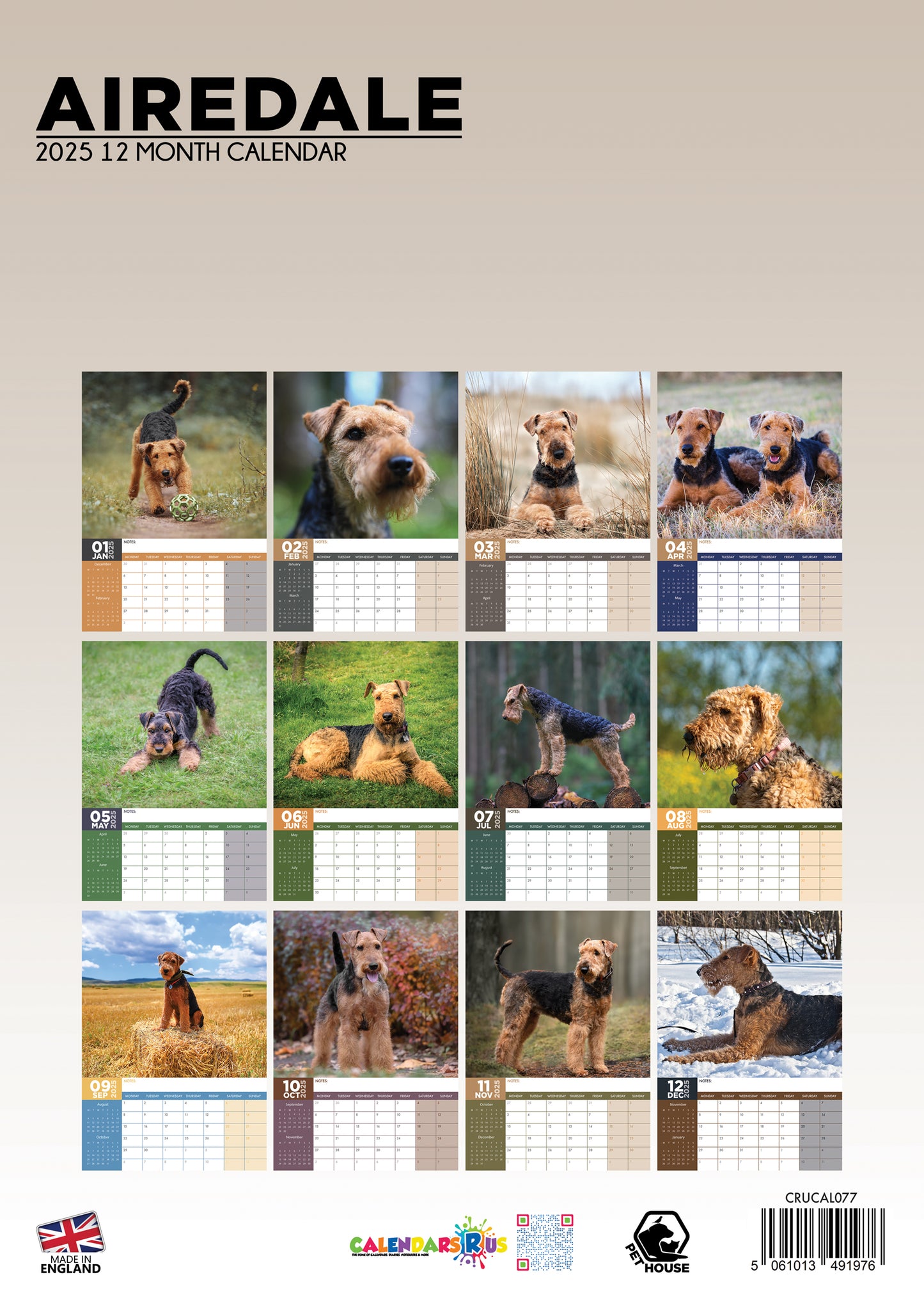 Airedale Terrier Calendar 2025