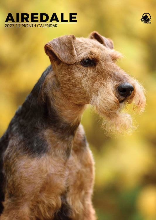 Airedale Terrier - A3 Calendar 2027