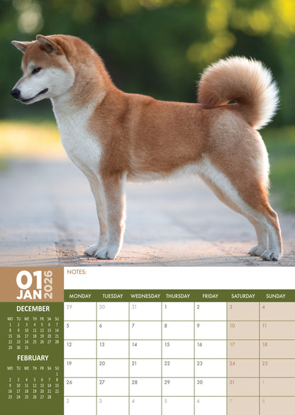 Akita - A3 Calendar 2026