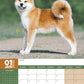 Akita Calendar 2025