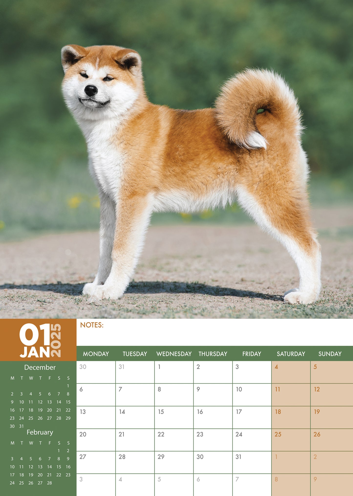 Akita Calendar 2025