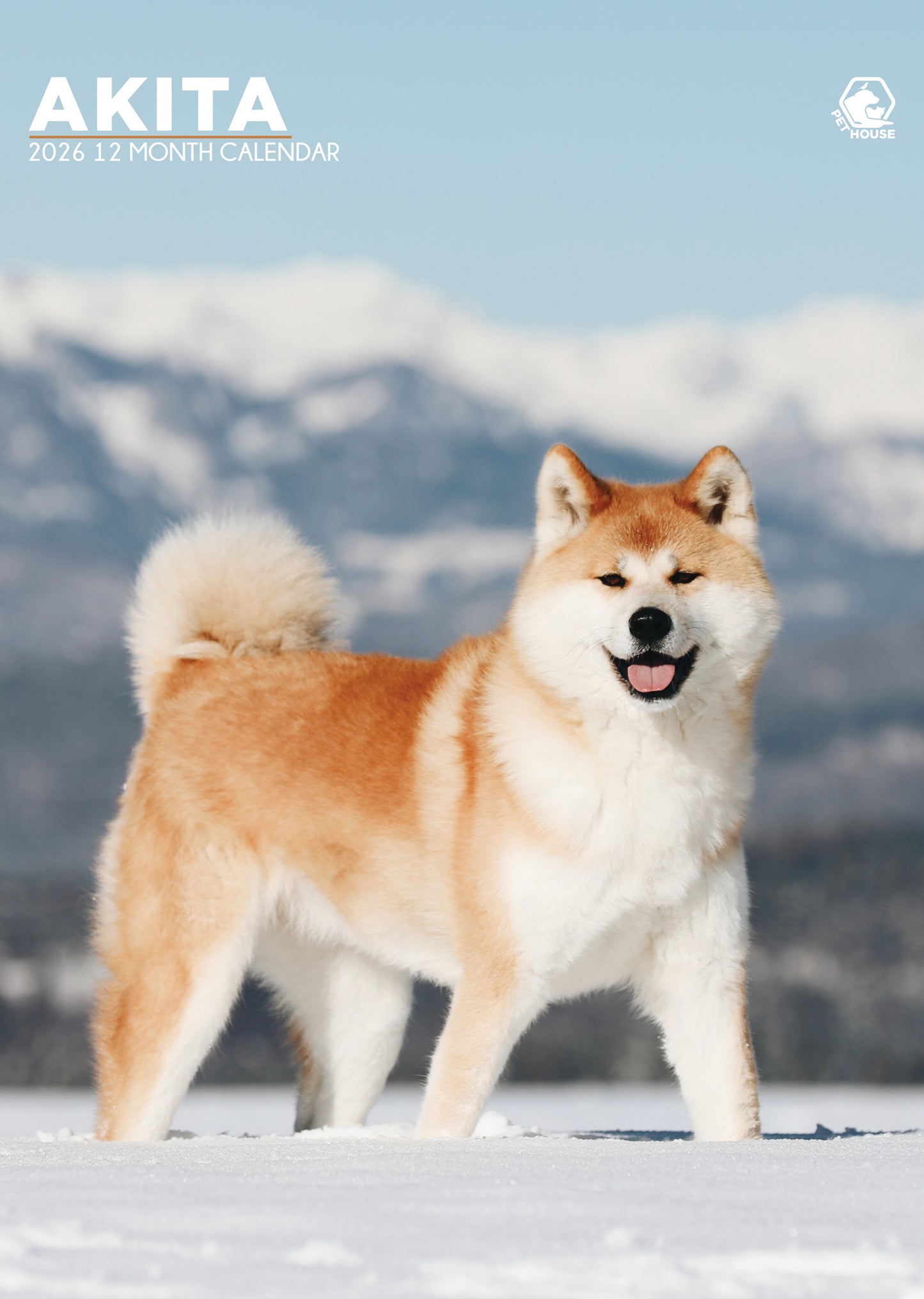 Akita - A3 Calendar 2026