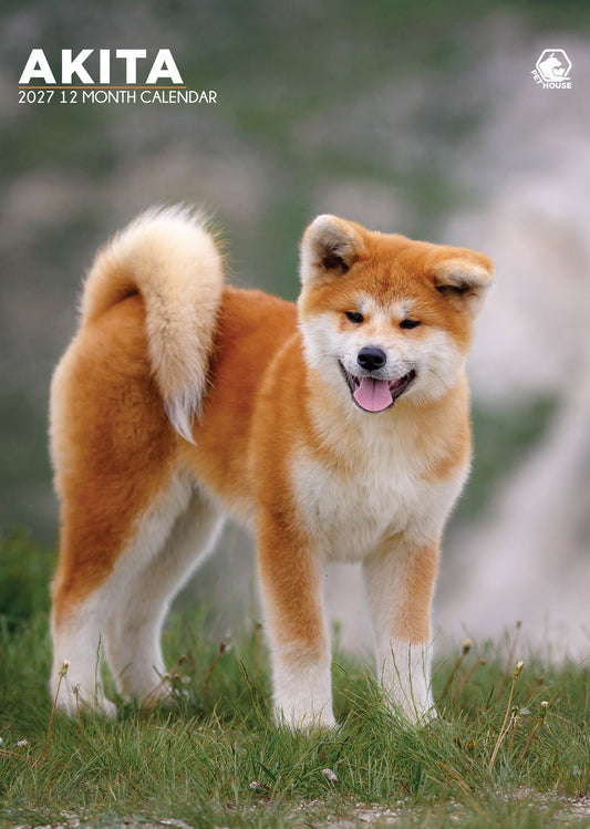Akita - A3 Calendar 2027