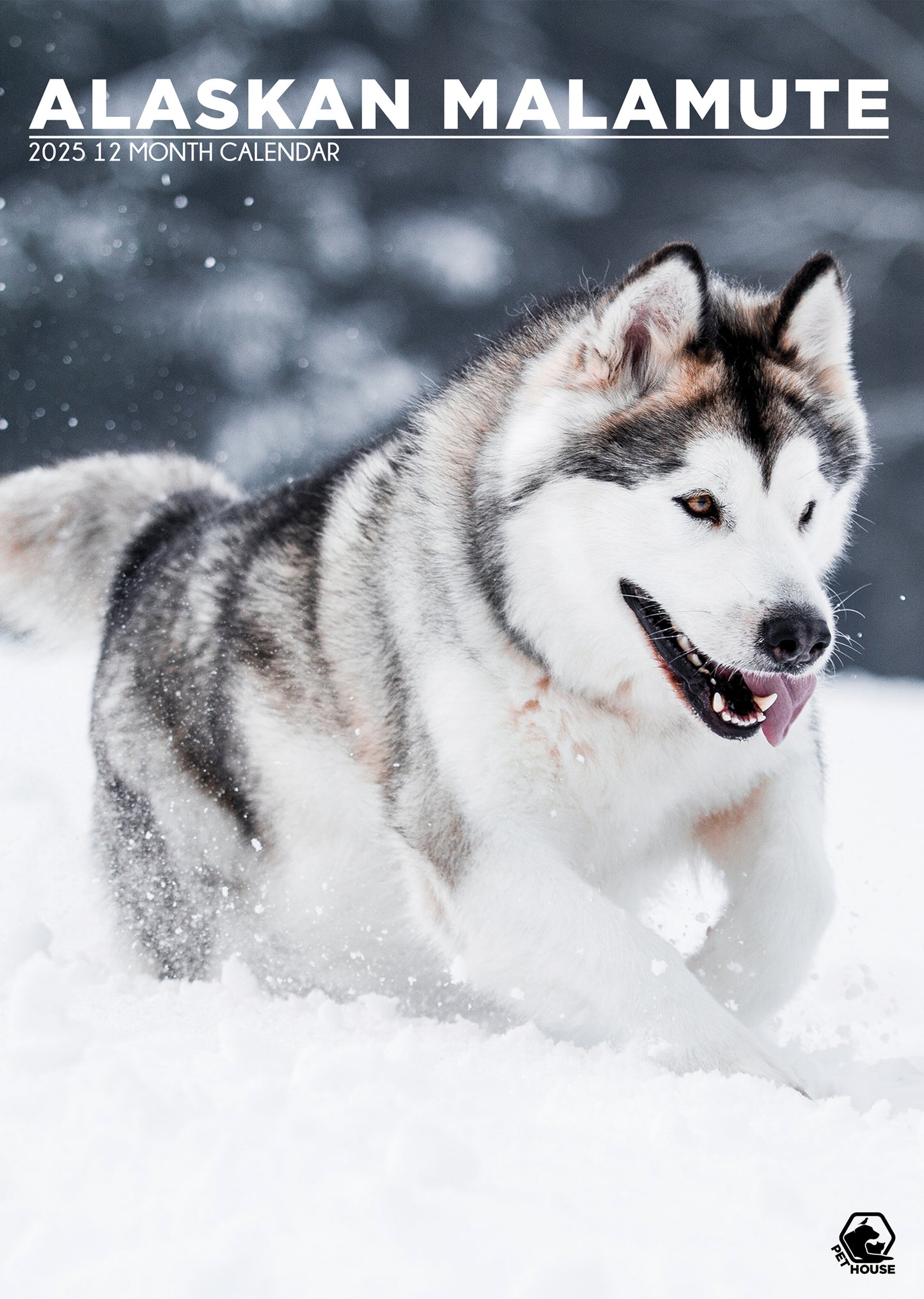 Alaskan Malamute Calendar 2025 CalendarsRus