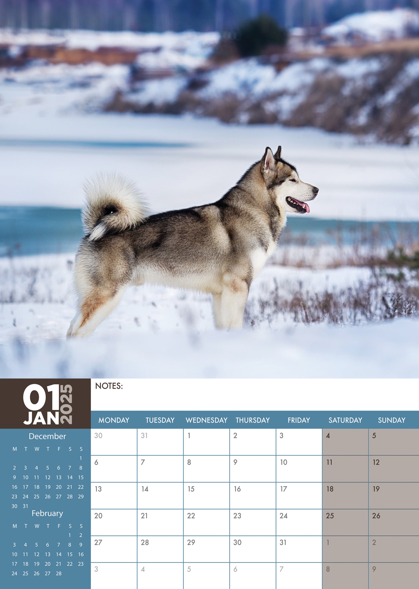 Alaskan Malamute Calendar 2025