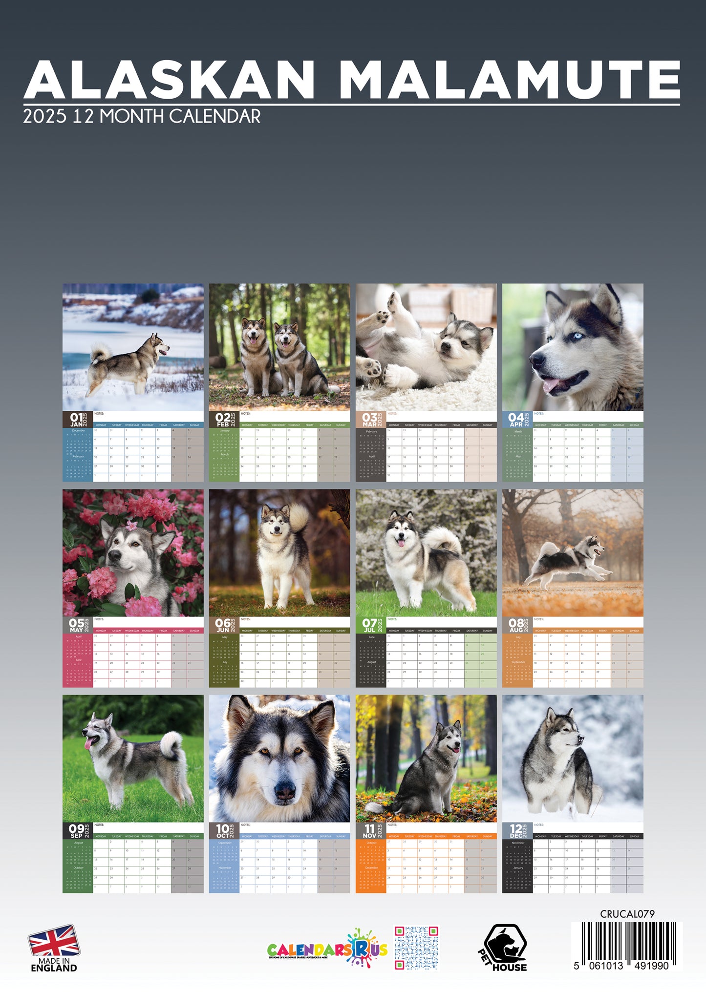 Alaskan Malamute Calendar 2025