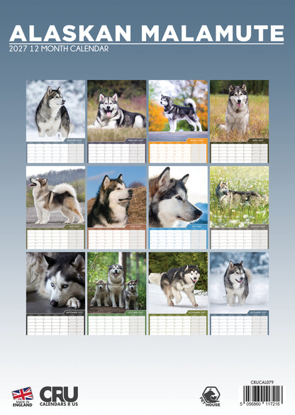 Alaskan Malamute - A3 Calendar 2027