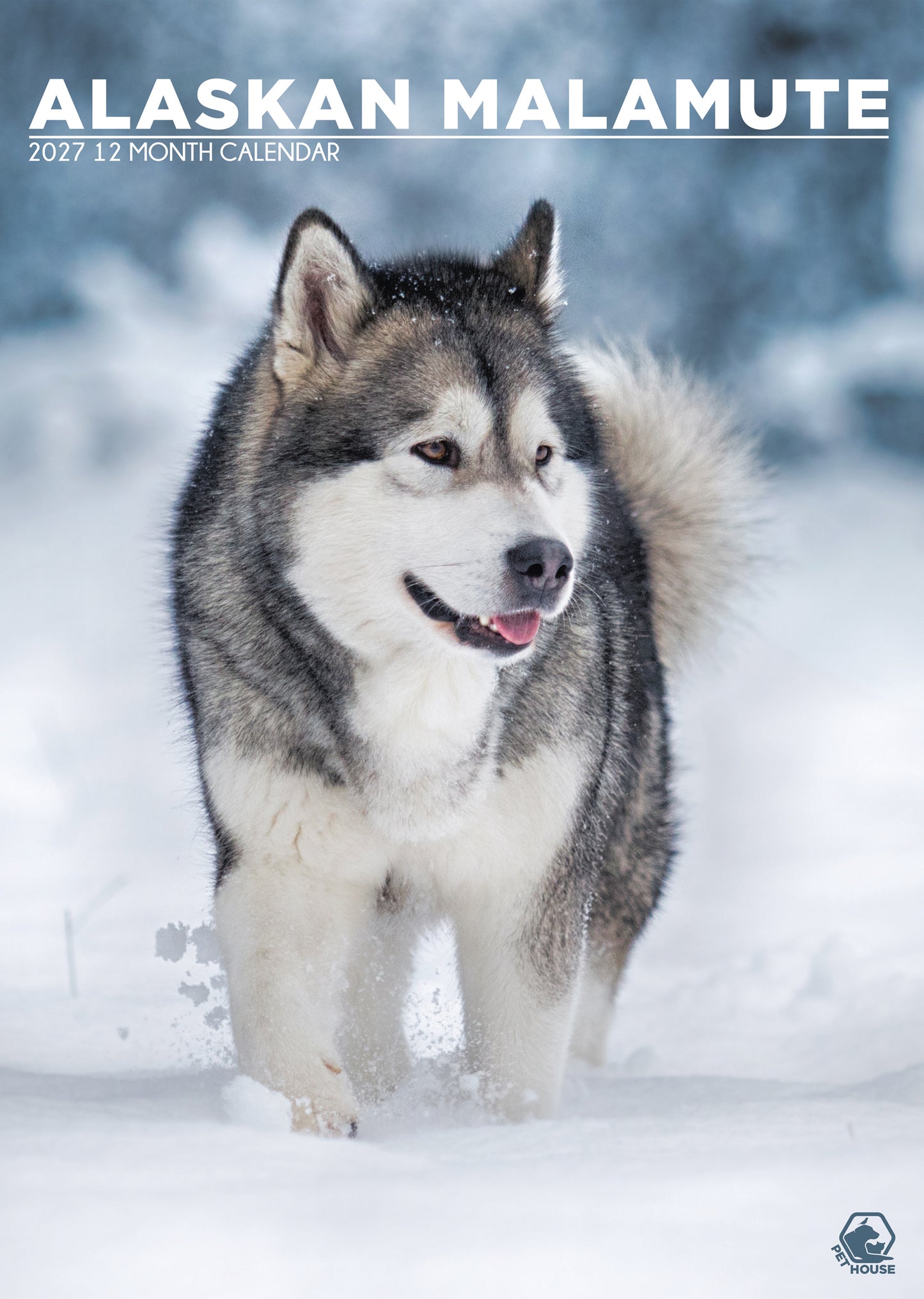 Alaskan Malamute - A3 Calendar 2027