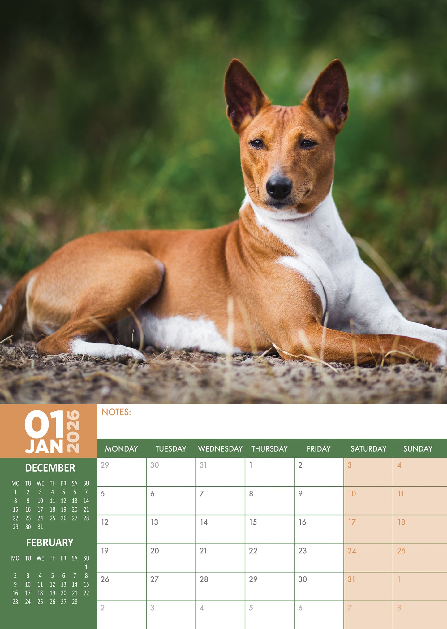 Basenji - A3 Calendar 2026