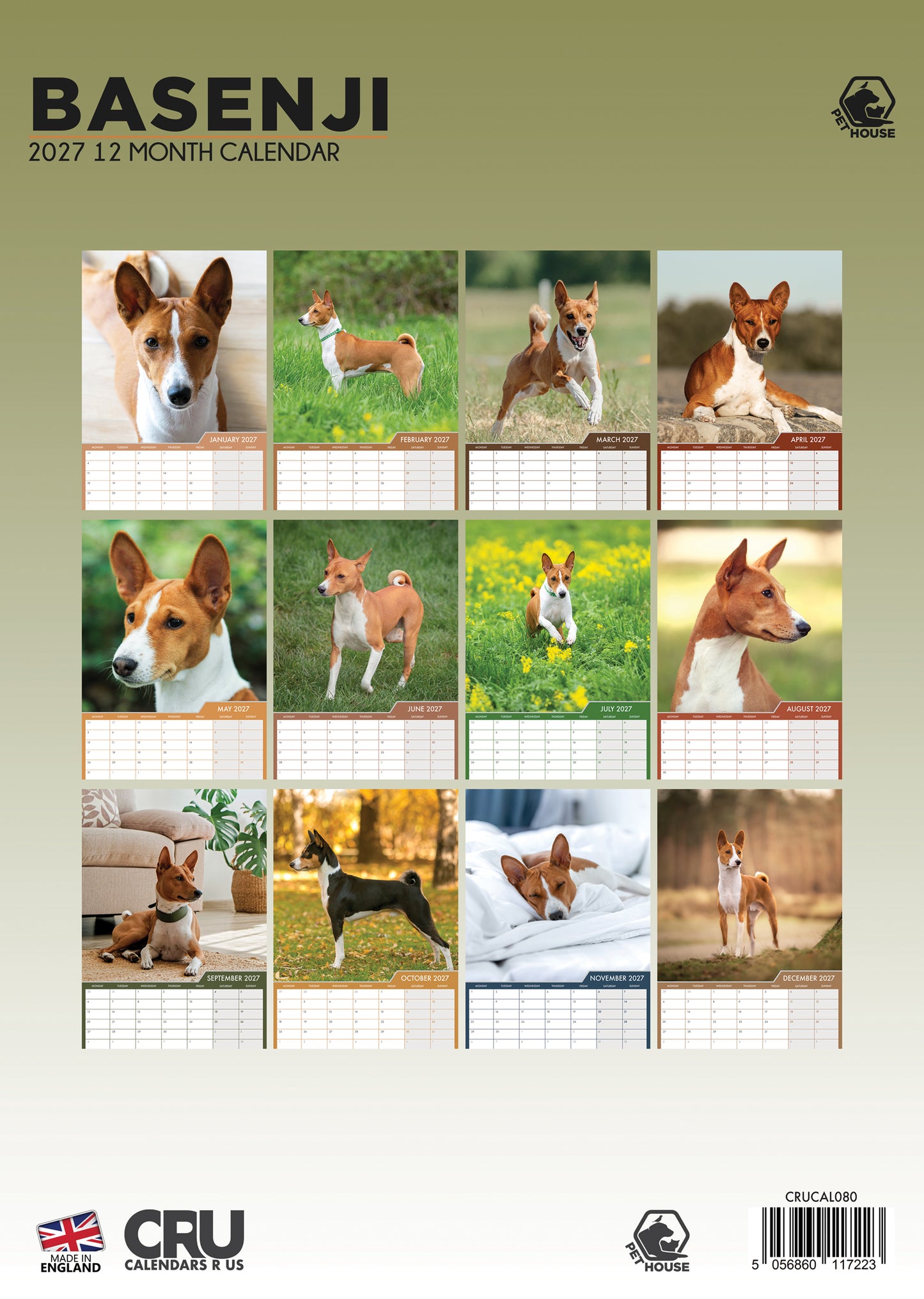 Basenji - A3 Calendar 2027