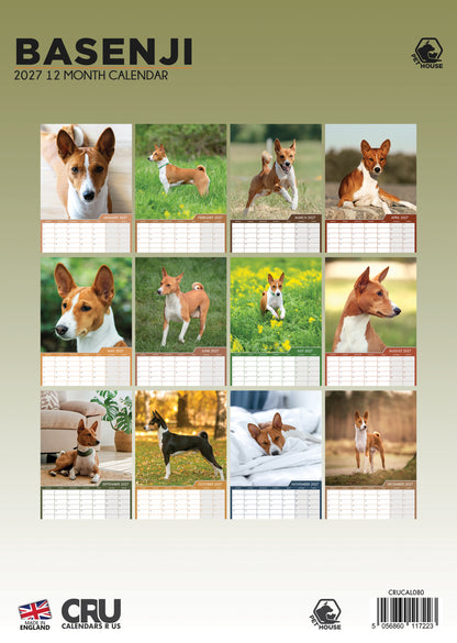 Basenji - A3 Calendar 2027