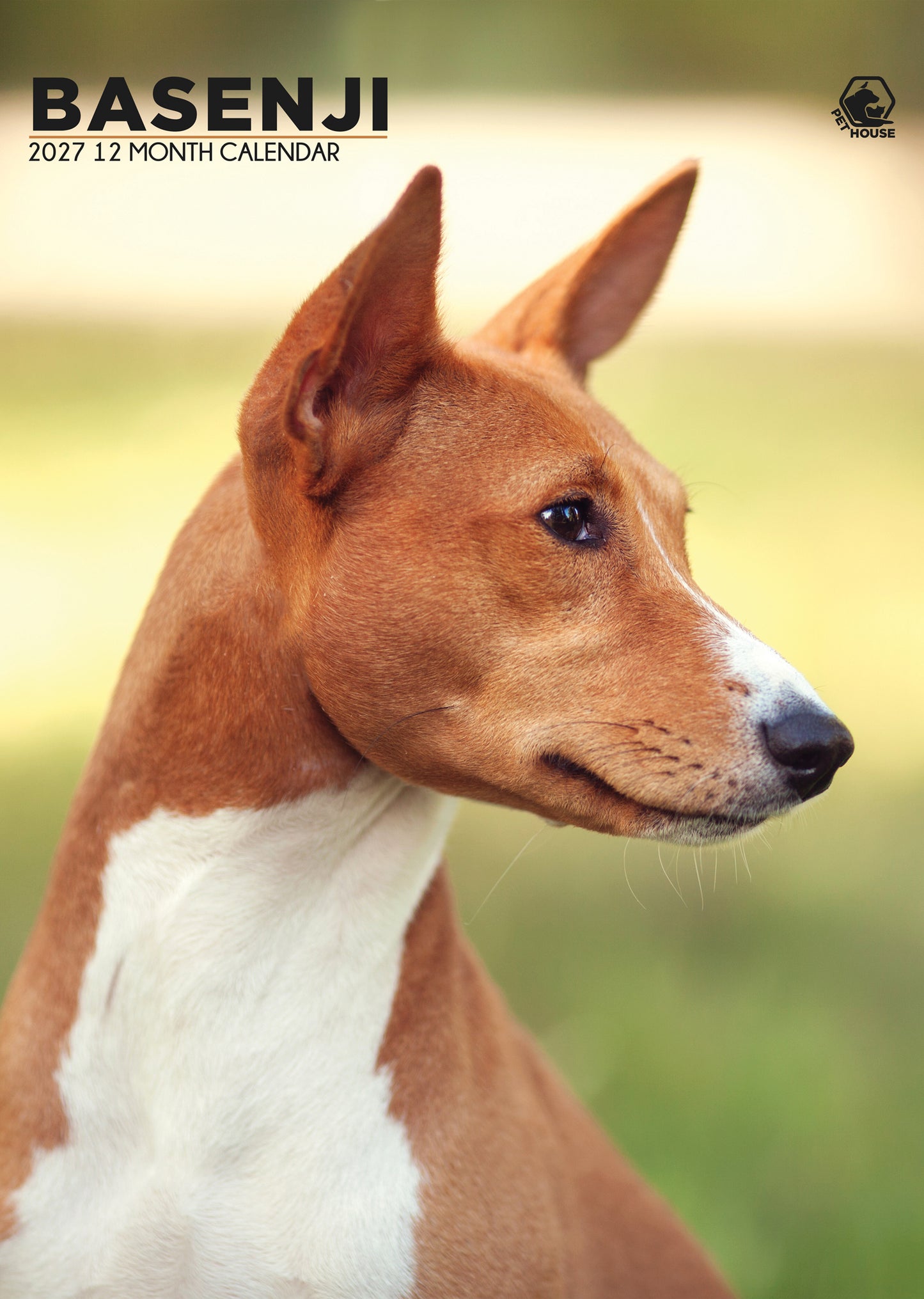 Basenji - A3 Calendar 2027